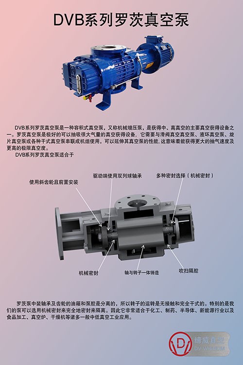 DVB系列羅茨真空泵