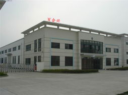 魔術(shù)貼 深圳市龍崗區(qū)東興塑膠制品廠的運(yùn)動(dòng)護(hù)具創(chuàng)新解決方案